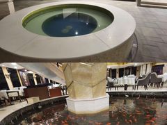 -碧中海汤泉汗蒸酒店