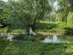 -上海野生动物园