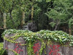 -四明山国家森林公园