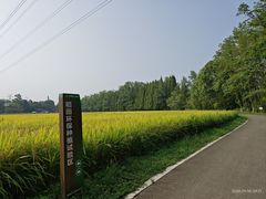 -桤木河湿地公园