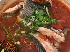 -风鑫铃罗非鱼(道沟店)