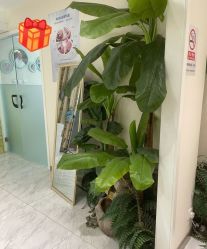 -健身堂科技美肌SPA