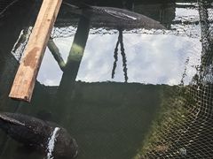 -蓝湾碧波·老字号·疍家非遗海上餐厅