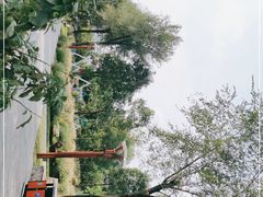 -眉山湿地公园(东坡区)