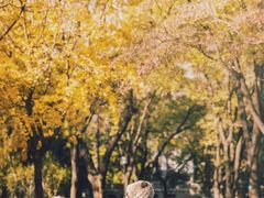 -山东大学(趵突泉校区)