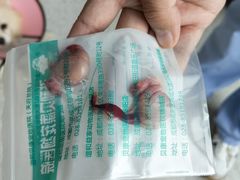 -谐和贝康宠物医院24小时·宠保定点(急重症转诊中心)