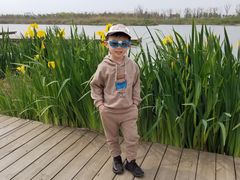 -春花秋色城市公园