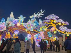 -淄博花灯齐彩城