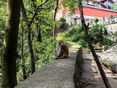 -黔灵山公园