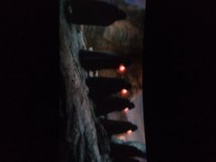 横店影城(东胜广场店)-横店电影城横影巨幕S-PLUS(港悦广场店)