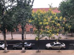 -山东师范大学(千佛山校区)