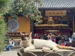 -龙华素斋(龙华路店)