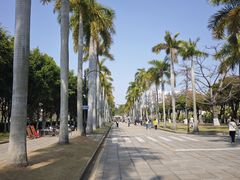 -厦门大学(思明校区)