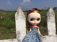 -北京东方普罗旺斯薰衣草庄园