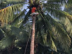 -三亚湾海居铂尔曼度假酒店