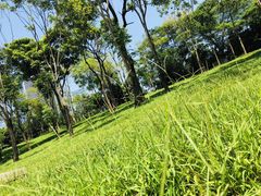 -星巴克臻选(深圳嘉里建设广场店)