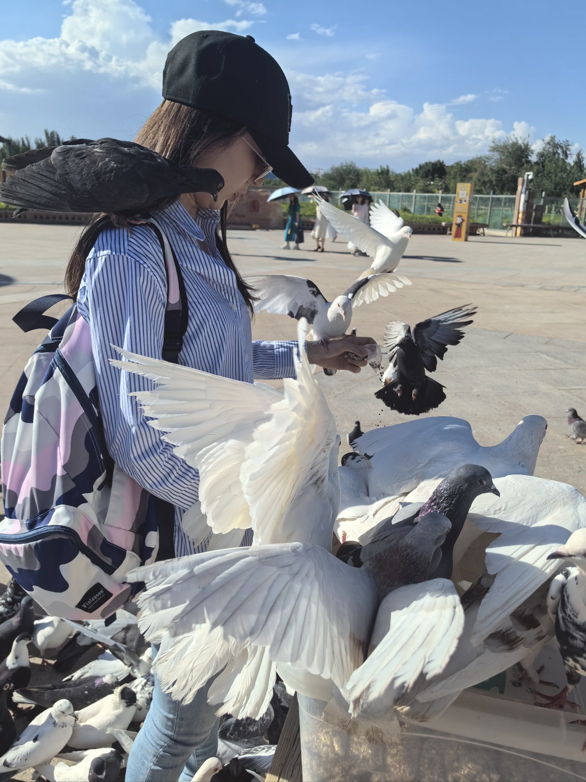 在香妃园前喂鸽子,真是太有趣了