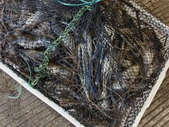 -海峡水产品交易中心(海鲜交易区)