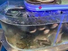 -盒马X会员店(上海森兰商都店)
