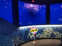 -沈阳海洋探索中心