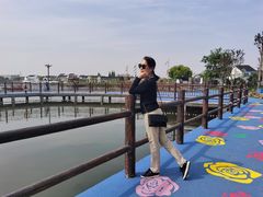 -鹅湖玫瑰文化园