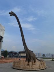 -恐龙探索乐园(磁器口店)