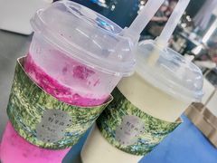 -野萃山·潮汕厚果汁(十亩地店)