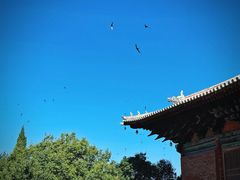 -善化寺