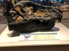 -香港科学馆
