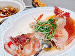 清蒸东星斑-悦秀·高级粤菜