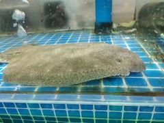 -富临港·蒸汽海鲜·手抓海鲜·炒菜(栈桥店)