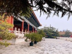 -北京市劳动人民文化宫(太庙)