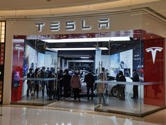 -TESLA 特斯拉(郑州正弘城体验店)