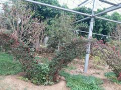 -龙达温泉生态城