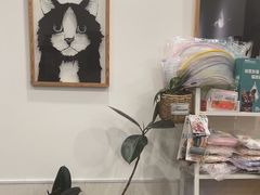 -凯特喵百思猫专科医院