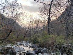 -秦岭风景区