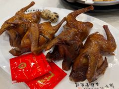 -清新鸡沙田乳鸽店(金融店)