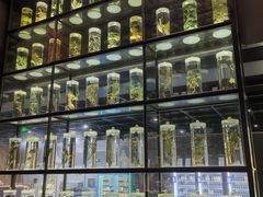 -广东中医药博物馆