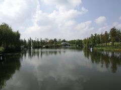 -上海长兴岛郊野公园