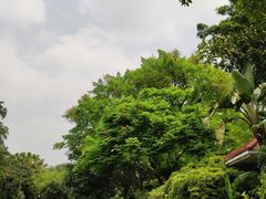-晓港公园