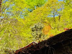 -天津盘山风景名胜区