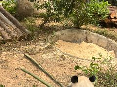 -泉州海丝野生动物世界