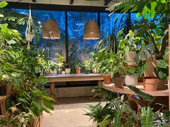 -自由生长植物工作室(深港花卉中心店)