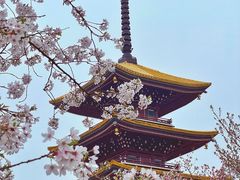 -东湖磨山景区