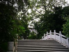 -小洲村
