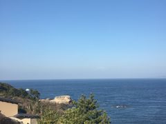 -滨千鸟之汤 海舟