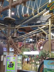 -卡通尼·Safari非洲探索乐园·生日会(金桥国际商业广场店)