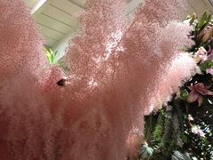 -春暖花开(西溪店)