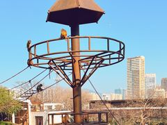 -昆明动物园