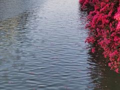 -幸福西饼面包茶饮(车公庙店)